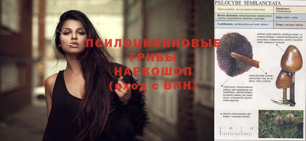 ECSTASY Костерёво