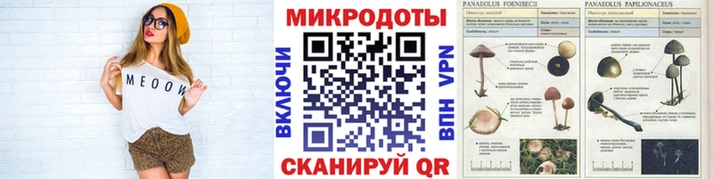 Галлюциногенные грибы мухоморы  Кондопога 