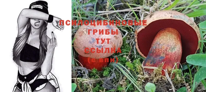 Псилоцибиновые грибы Psilocybine cubensis  даркнет сайт  ссылка на мегу как войти  Кондопога 