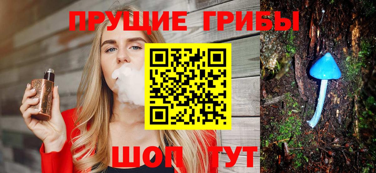 Галлюциногенные грибы Psilocybine cubensis Кондопога