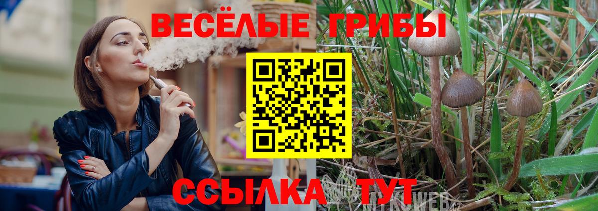 Галлюциногенные грибы Cubensis  Вход с VPN  Кондопога  Псилоцибиновые грибы Psilocybine cubensis 